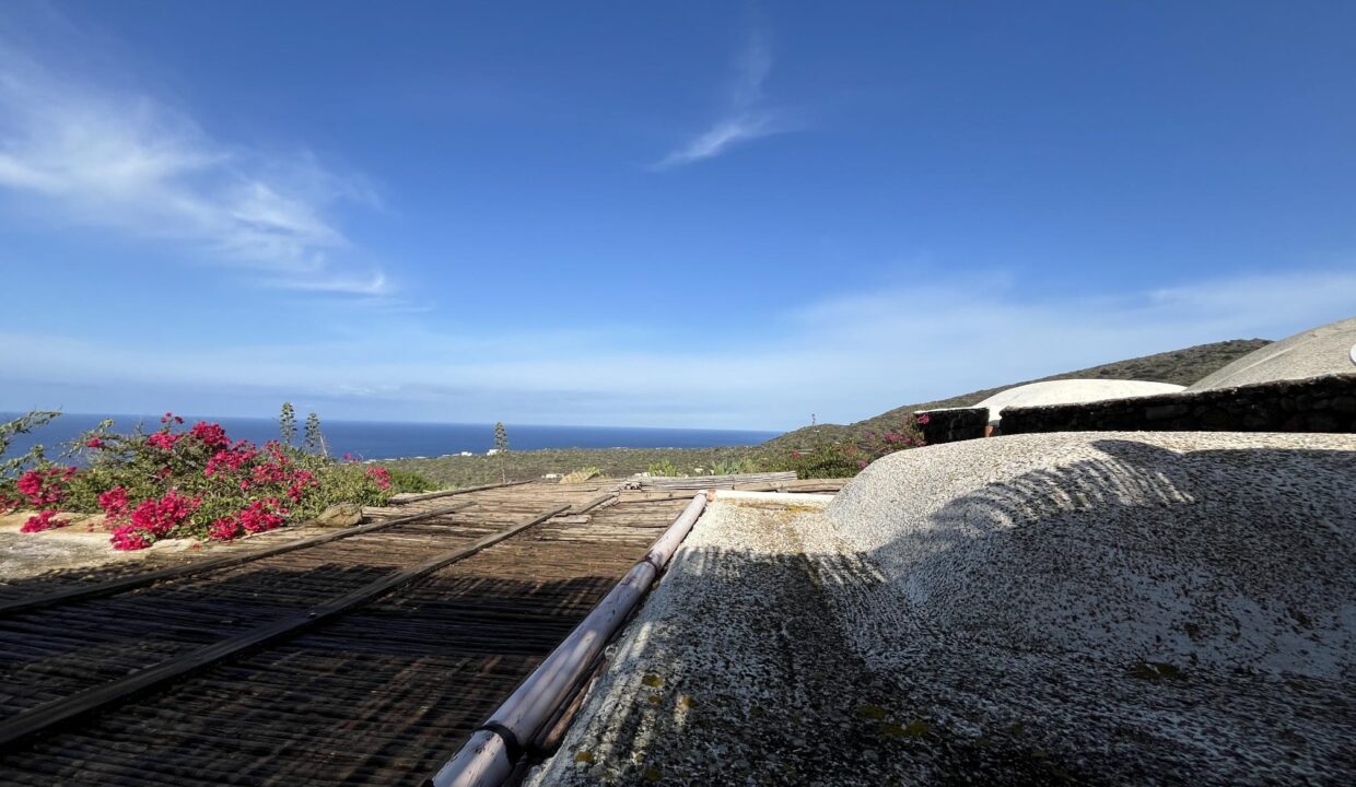 resized_Foto 26-09-25, 09 53 02