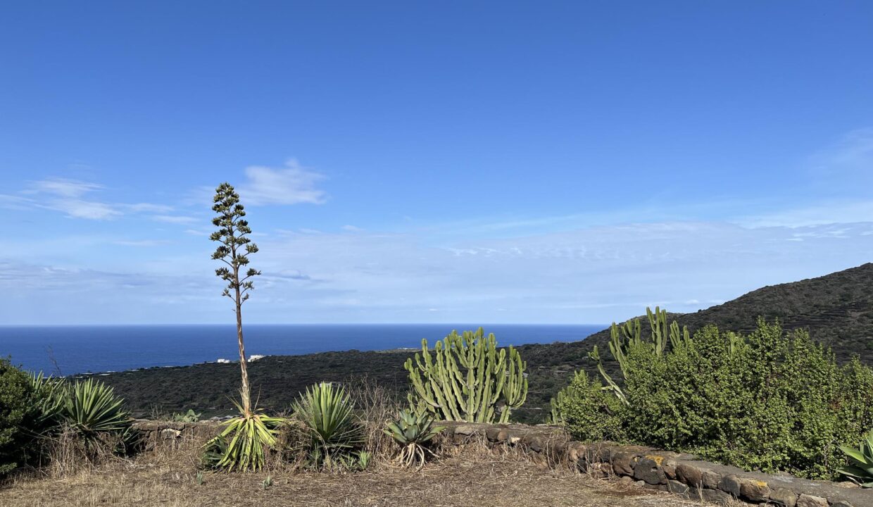 resized_Foto 26-09-25, 10 29 29