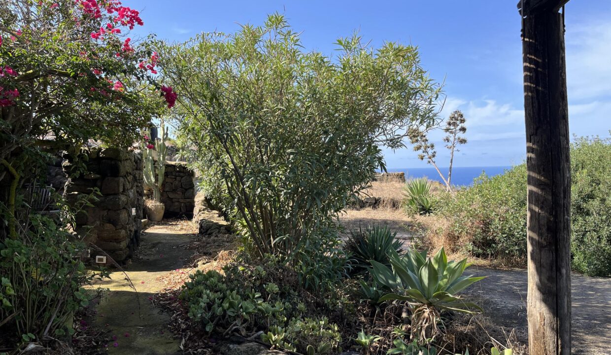 resized_Foto 26-09-25, 10 33 41