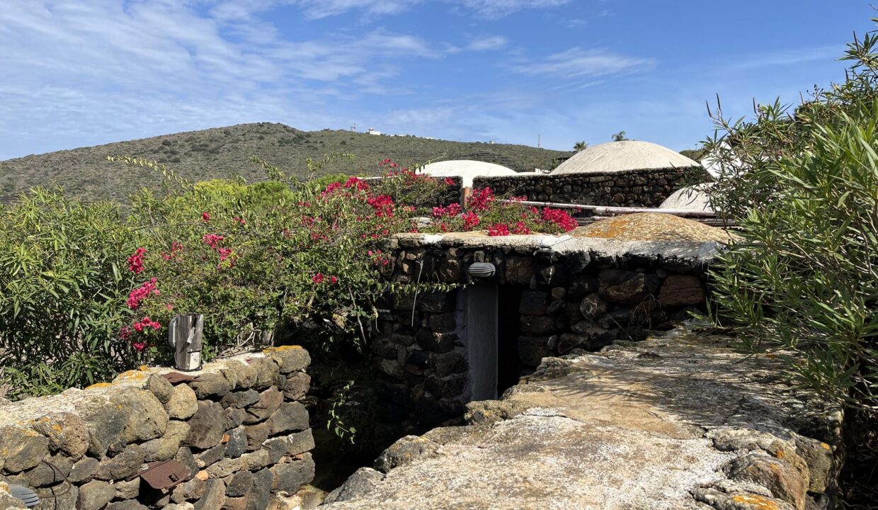 resized_Foto 26-09-25, 10 51 36