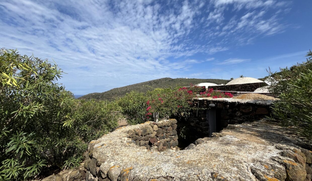 resized_Foto 26-09-25, 10 51 41