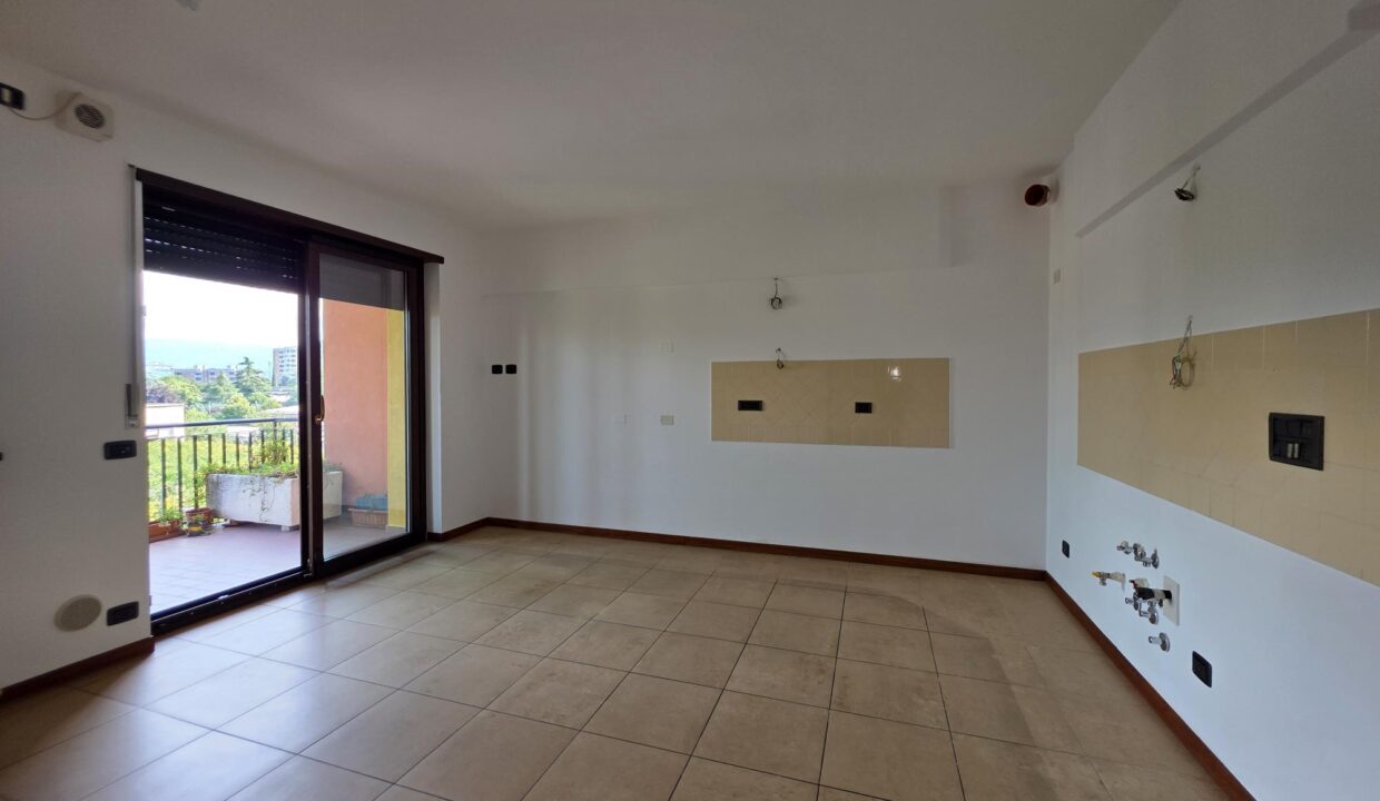 resized_20250721_105626