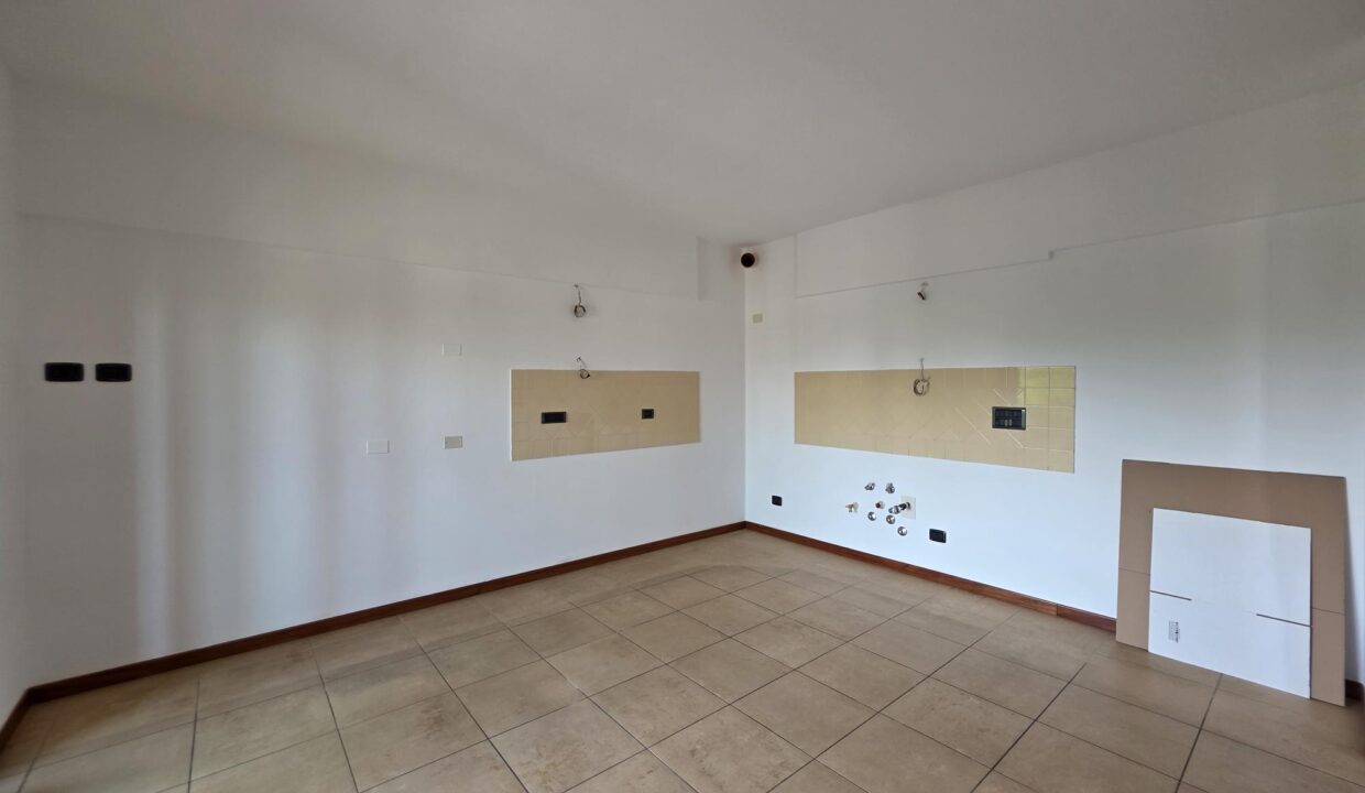 resized_20250721_105635