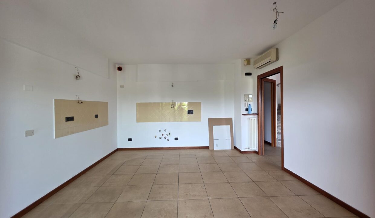 resized_20250721_105651