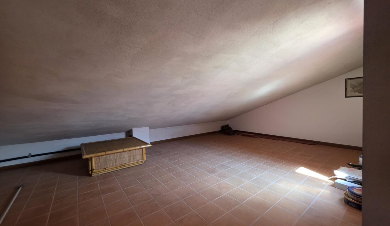 resized_20250721_110345