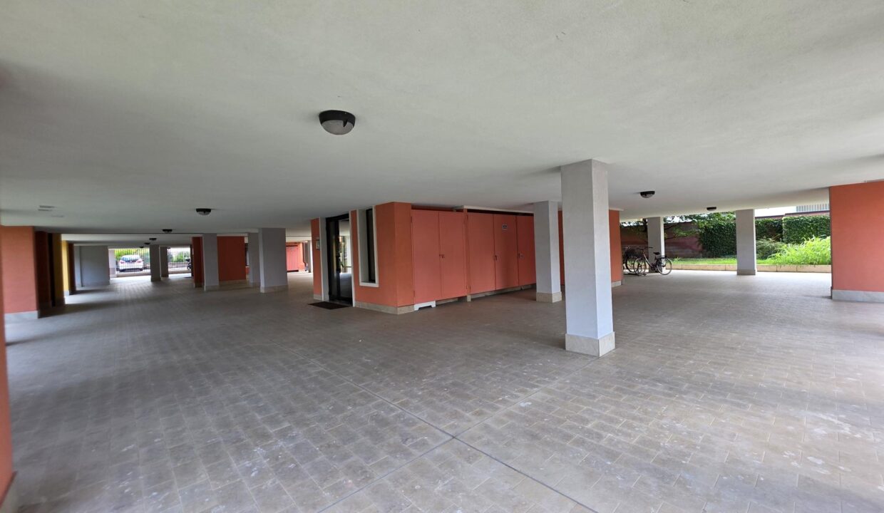 resized_20250721_112033