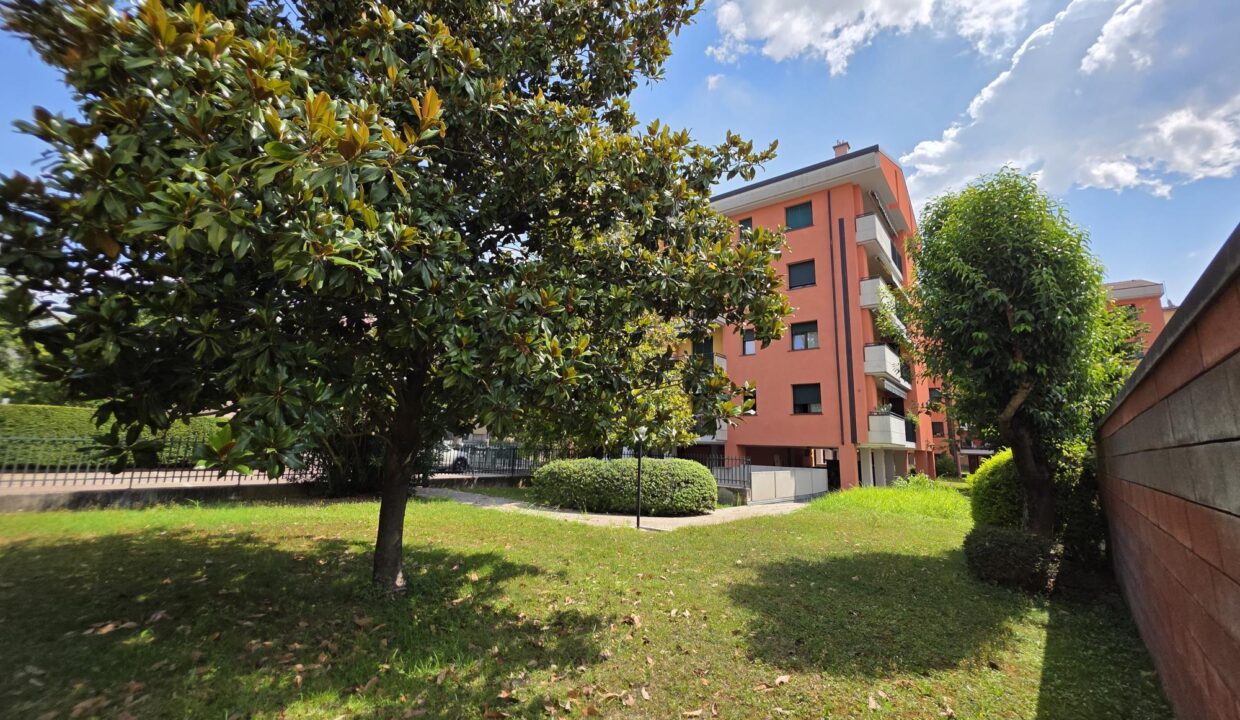 resized_20250721_112117