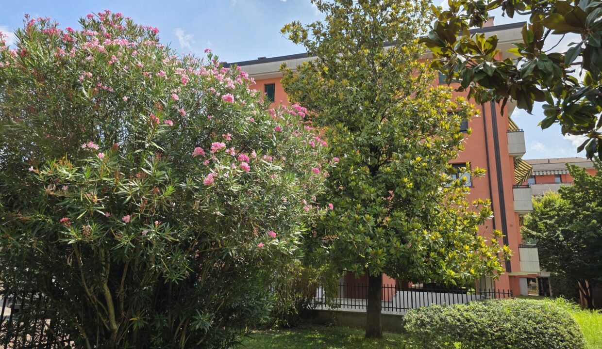 resized_20250721_112135