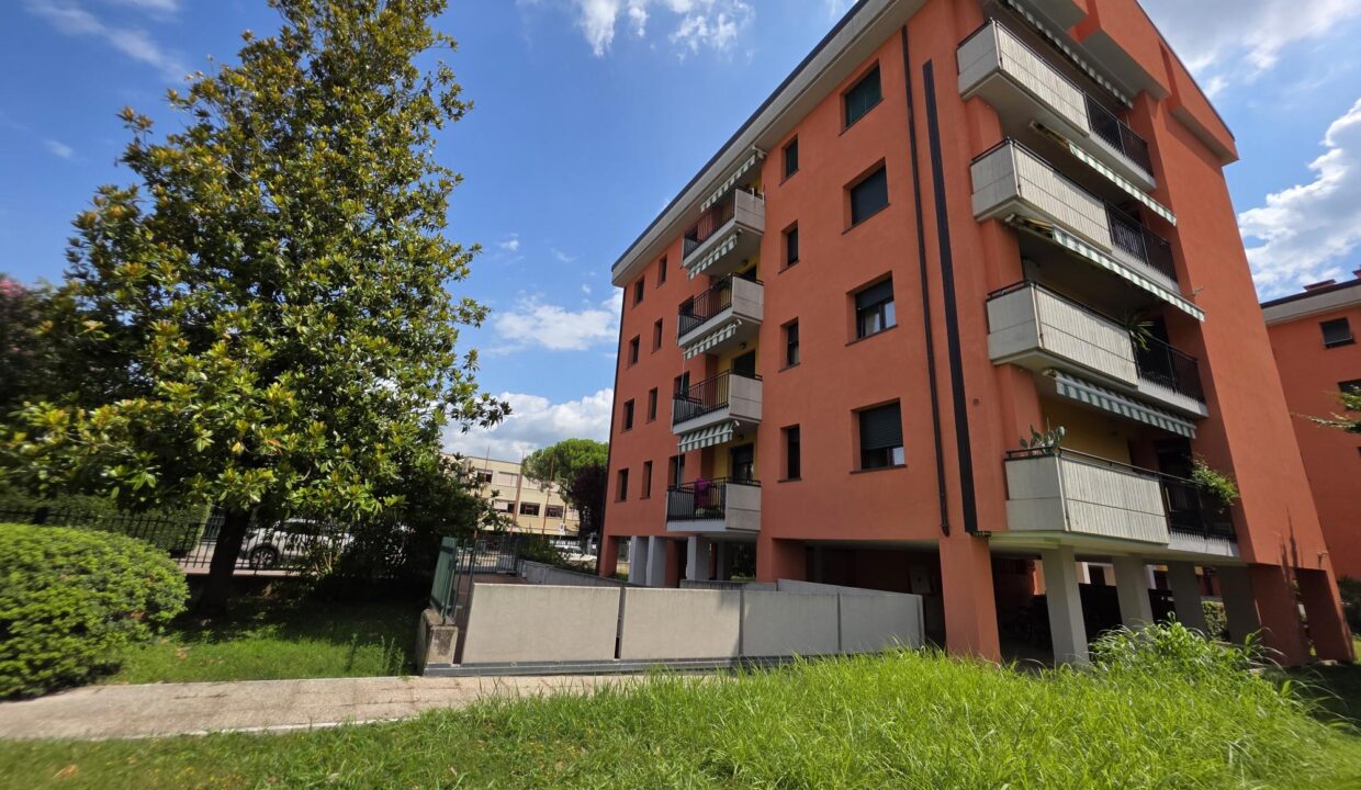 resized_20250721_112159