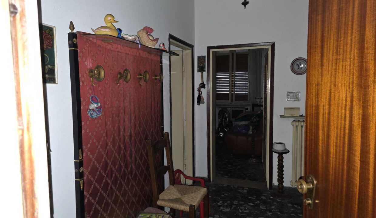 resized_20260128_104455