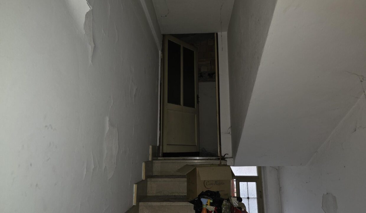 resized_20260128_104634