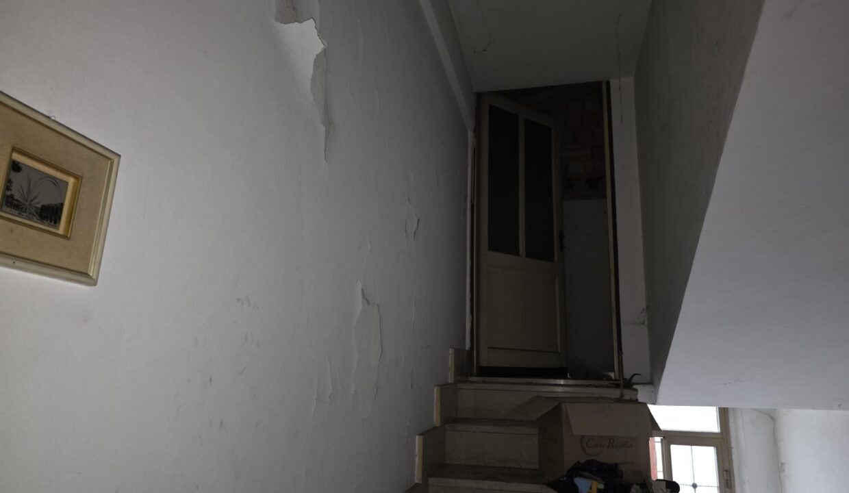 resized_20260128_104638