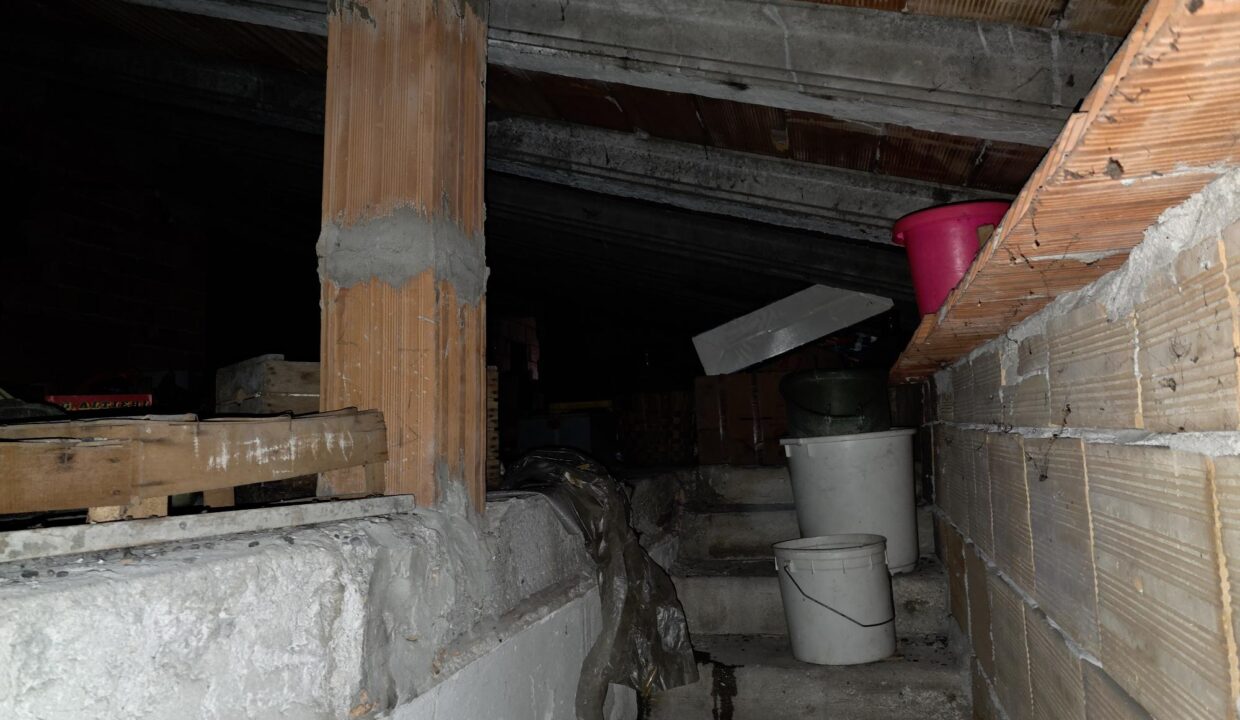 resized_20260128_104654