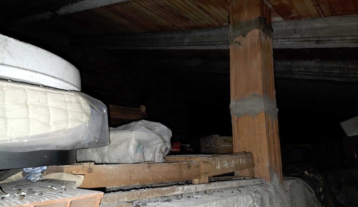 resized_20260128_104658