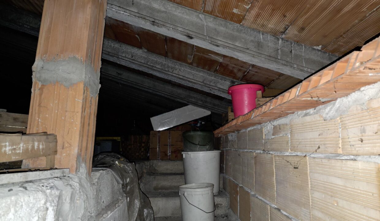 resized_20260128_104702