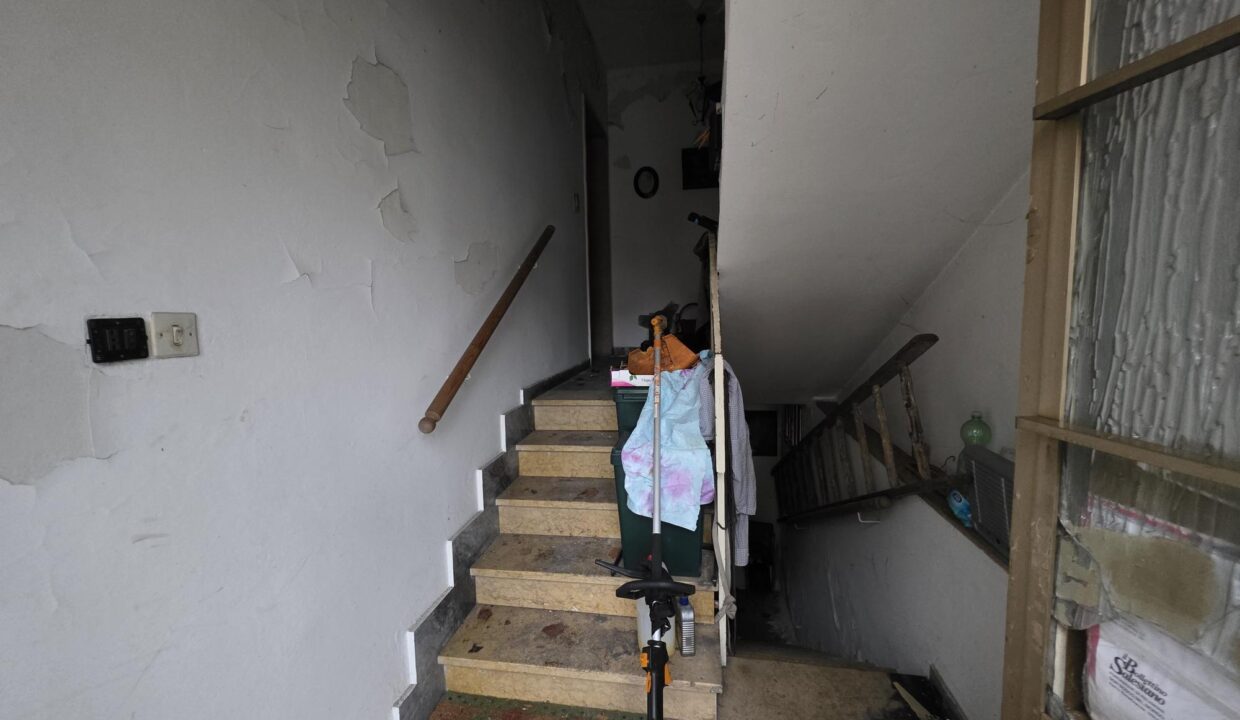 resized_20260128_104734