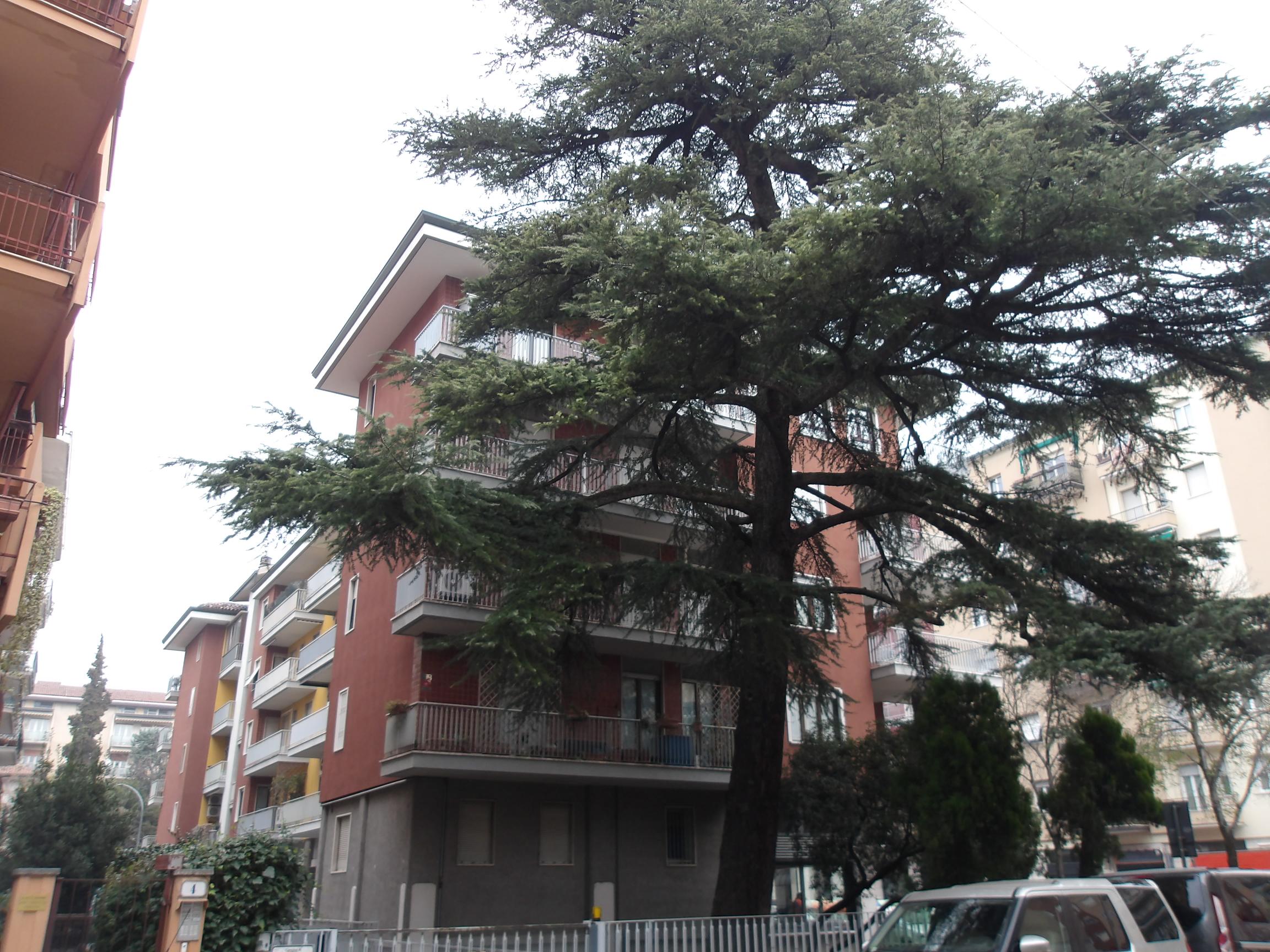 Appartamento in Vendita