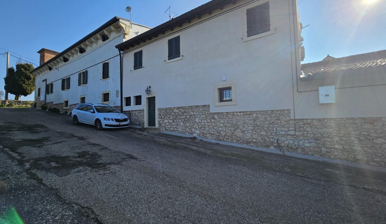 resized_20250204_113424