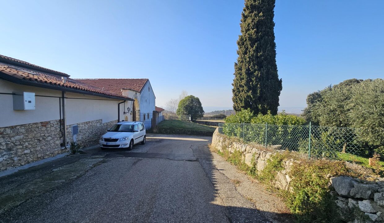 resized_20250204_113449