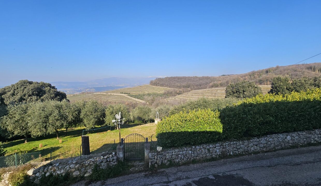 resized_20250204_114221