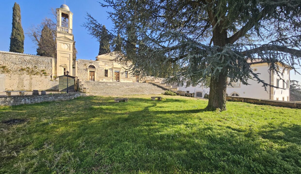 resized_20250204_115505