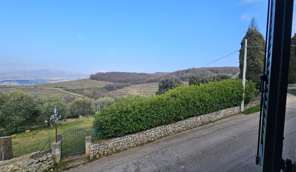 resized_20260225_093027